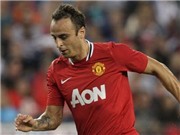 Bóng đá anh, ngoại hạng anh, lịch thi đấu euro 2012, PSG “gõ cửa” M.U: 18 triệu bảng cho Berbatov